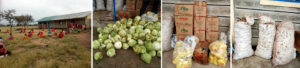 entrega de comida a familias de kenya 2